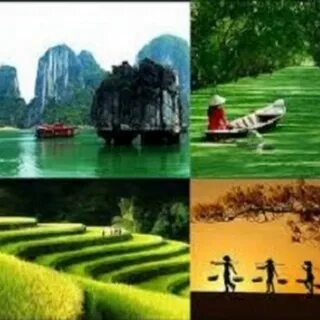 Học tiếng Anh và tìm thấy tình yêu: Câu chuyện của chị An và anh David_Ý tưởng video ngắn